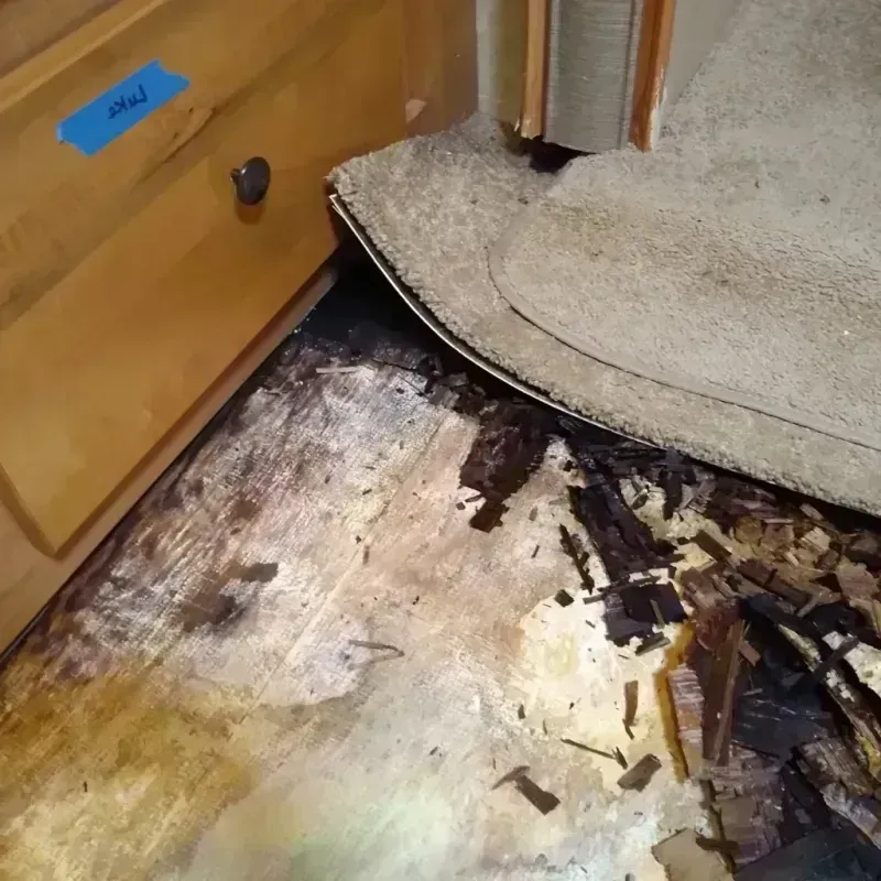 Wood Floor Water Damage in Clawson, MI